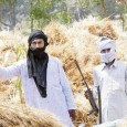 Naxalism is large number of states! The government’s polices are a right package? Prime Minister had called for one Mr.M Shashidhar Reddy for talks on” the Naxalite menace ahead of the crucial chief ministers’ conference on...