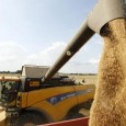 Importing 3 million tonne more wheat! Sonia Gandhi’s letter to Prime Minister Two years achievement? This massive import? This government seems to have lost steam and might drive the country into an irreversible trend! Sonia Gandhi...
