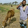 Why Microfinance is now a bad word? Finance ministry must introduce a regulator for the agricredit monitoring Yes, microfinance companies have now come under a cloud. Andhra Pradesh government brought...
