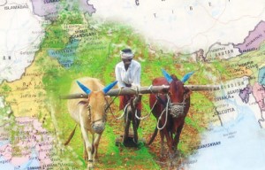 indian-agriculture-sector