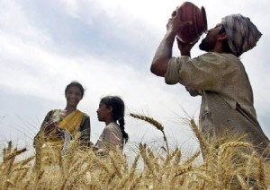 Indian Agriculture