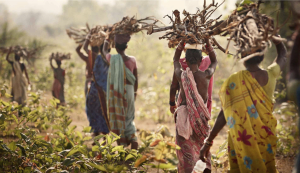 rural-india