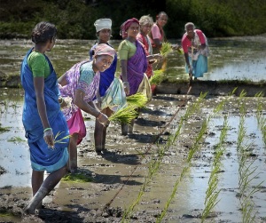 rural-india